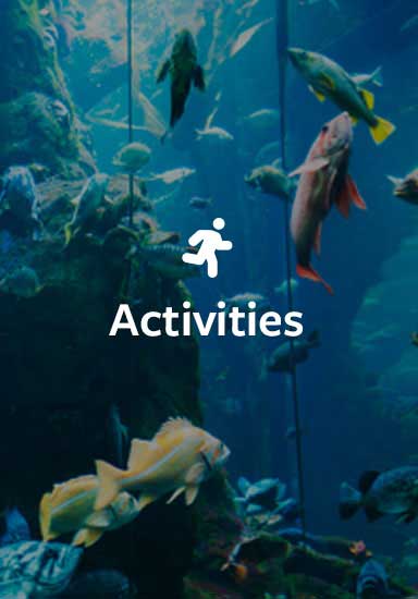 Activities in Italy